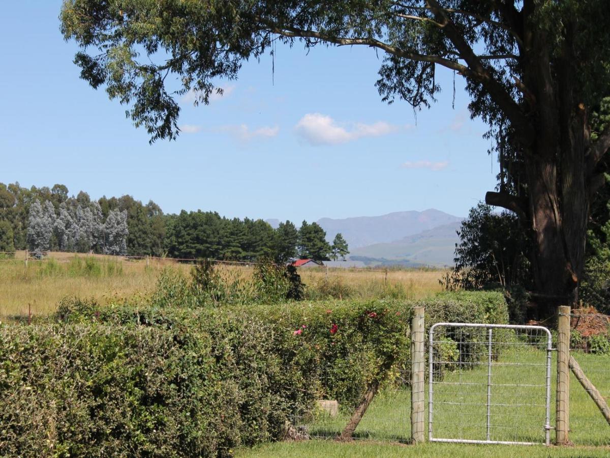 Cicada Self Catering Cottage Underberg Exterior foto